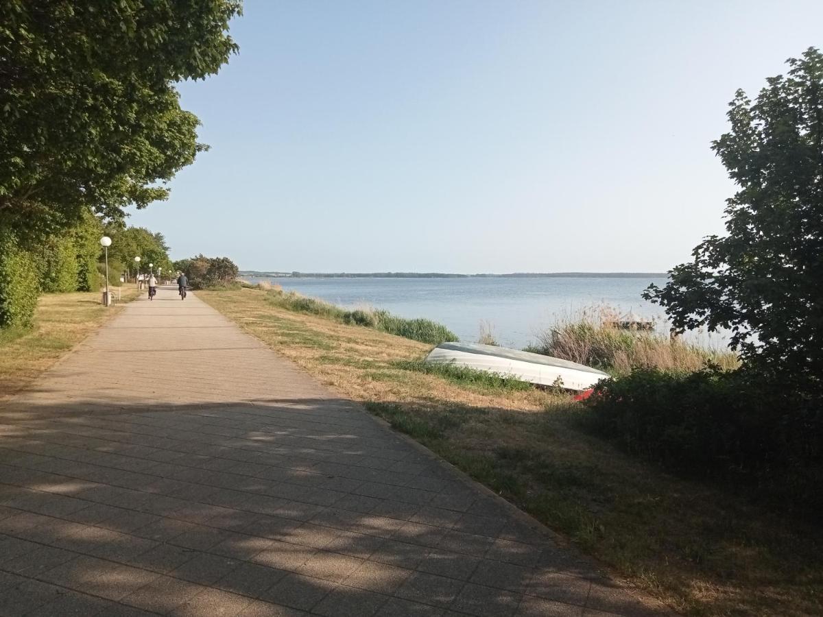 Strandgruen Rerik Esterno foto