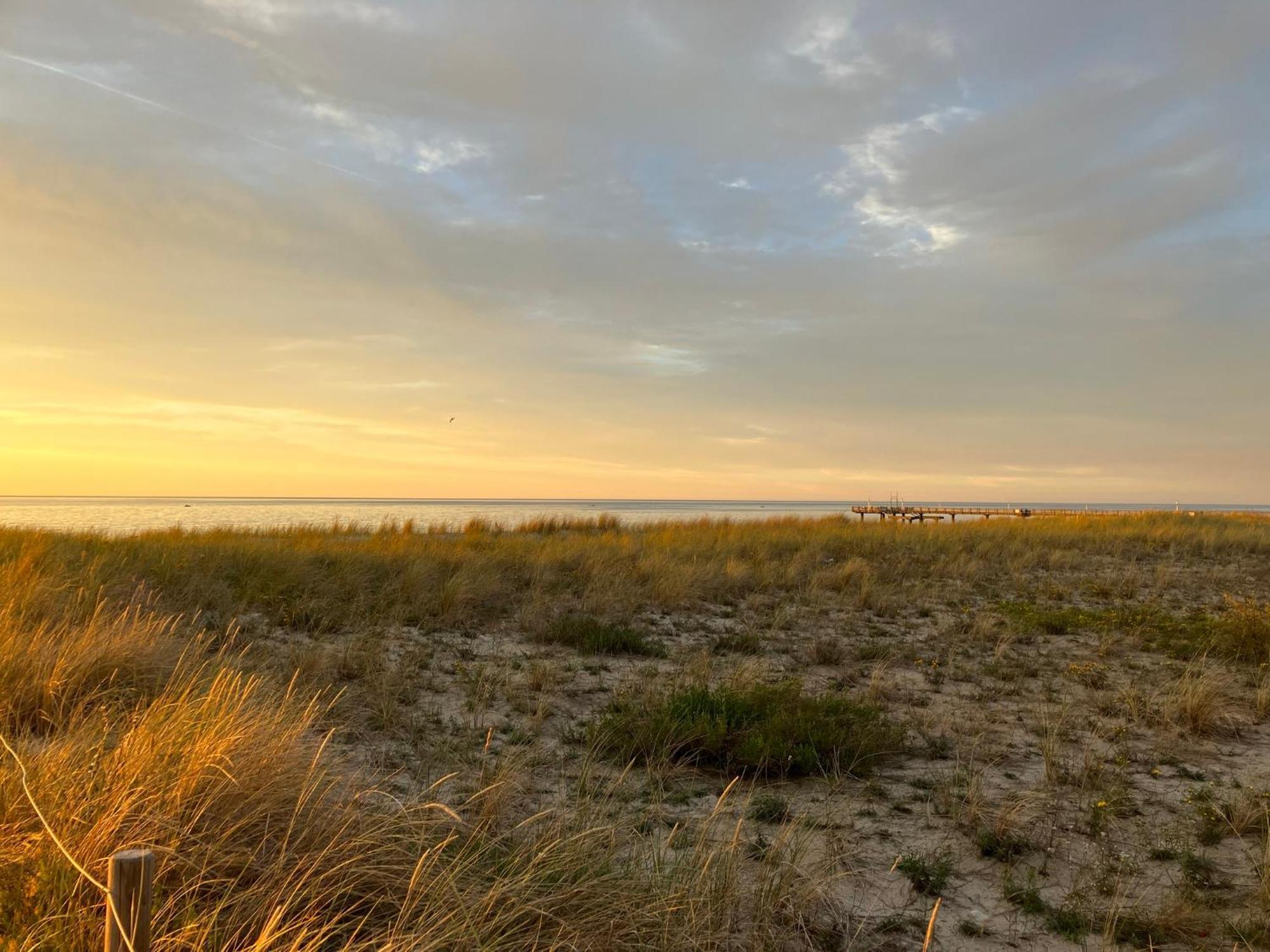 Strandgruen Rerik Esterno foto